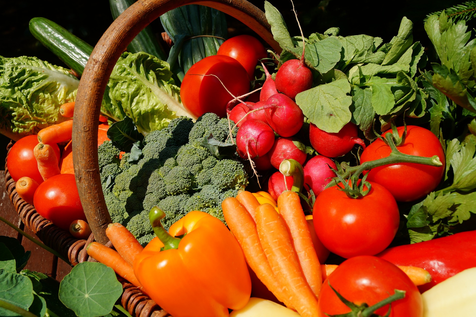 vegetables-3386212_1920 (1)